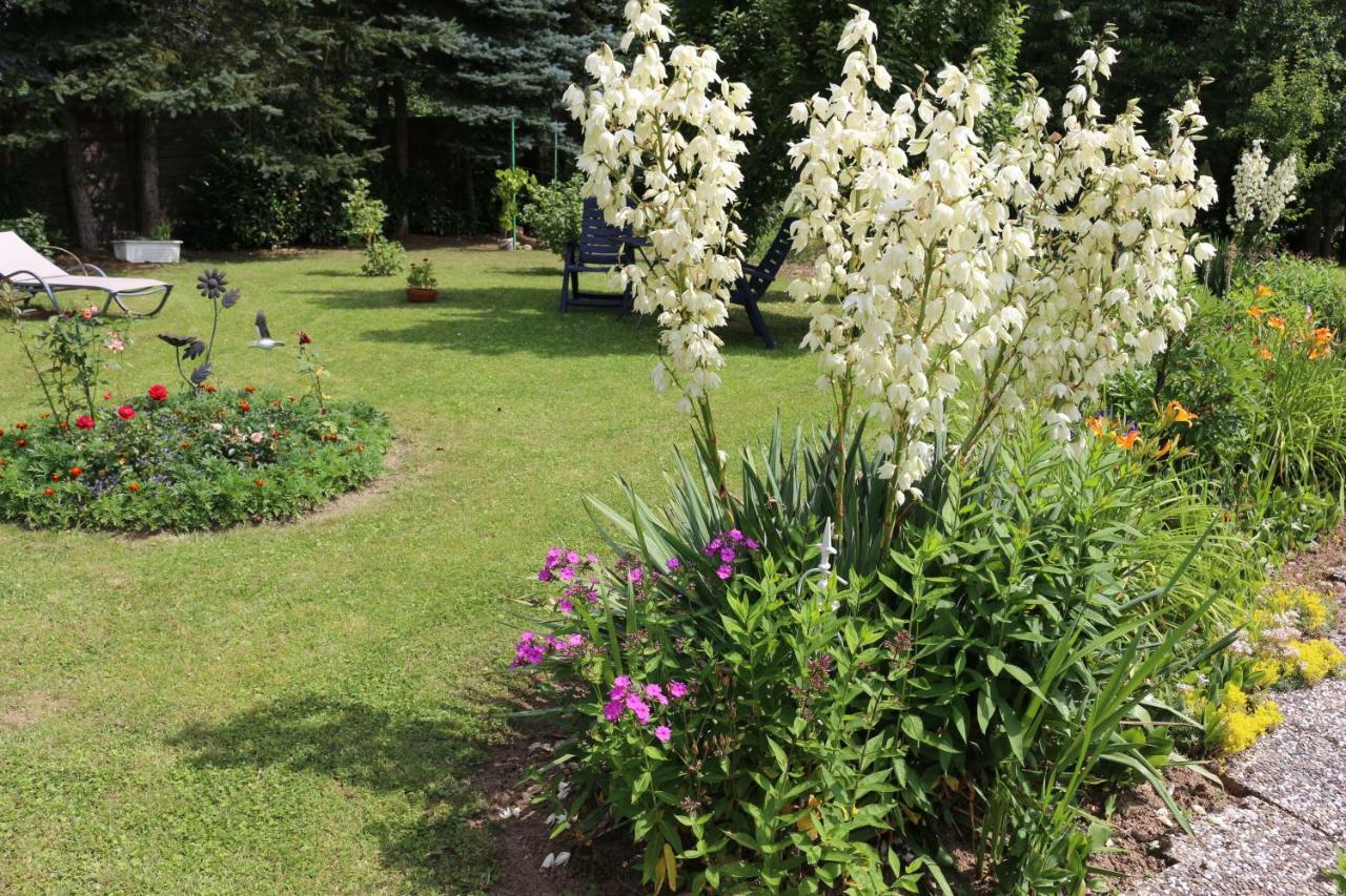 Ferienwohnung Dalia Godendorf  Εξωτερικό φωτογραφία